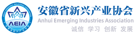 安徽省新兴产业协会章程-安徽省新兴产业协会