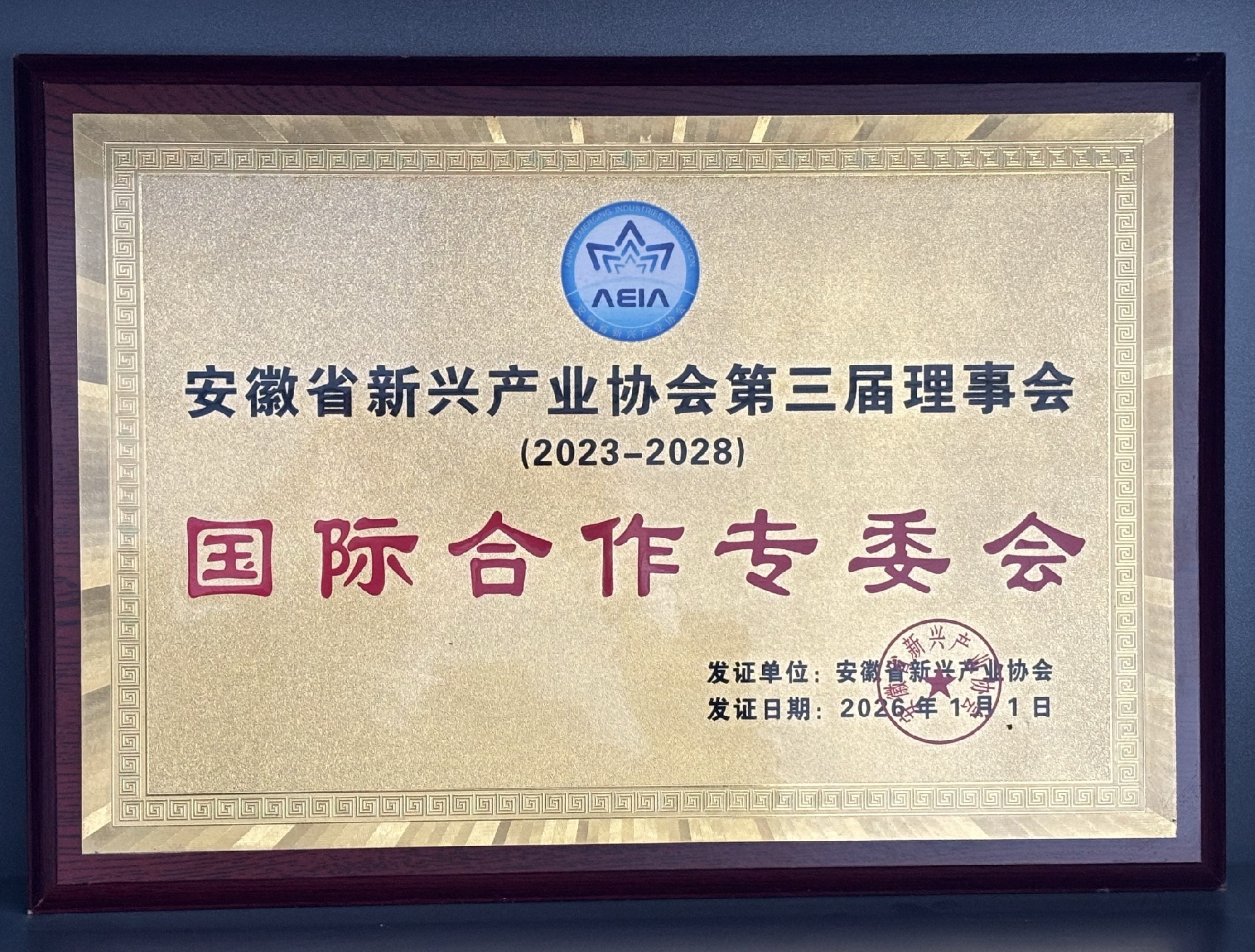 国际合作专委会牌子.jpg